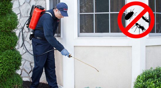 Çameli Böcek ve Haşere İlaçlama böcek ilaçlama ve haşere kontrolü — ilaclama-tr.com